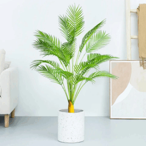 Palmera Phoenix con base