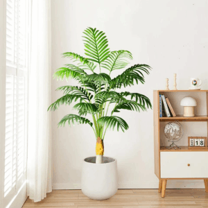 Palmera Washingtonia con base